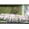 Saucisson sec x1 (800G)