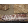 Saucisson sec x1 (800G)