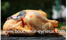 Poulet fermier x1