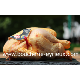 Poulet fermier x1