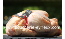 Poulet fermier blanc x1