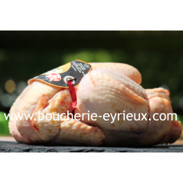 Poulet fermier blanc x1